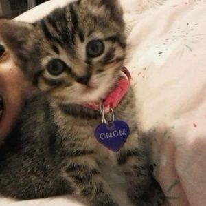 Meet your Posher, Iris